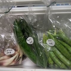 新鮮野菜コーナー10月15日の品出し予定です。