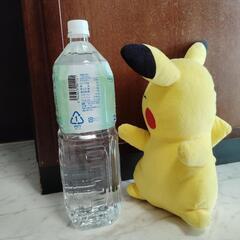 ①ピカチュウの画像