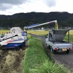 　令和６年度産　新米５キロ３０００円