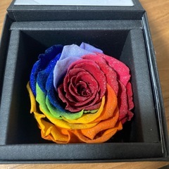 ダイヤモンドローズの画像