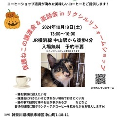 保護ねこの譲渡会　in 横浜市緑区