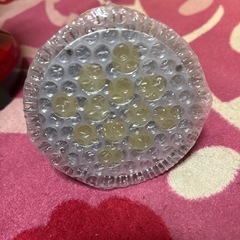 海水魚、サンゴLED 