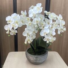 フェイク　フラワー　胡蝶蘭　高さ：72㎝　光触媒　人工観葉植物　...