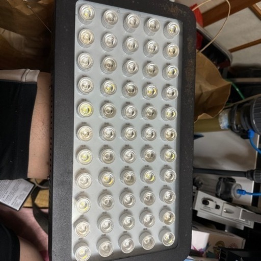 海水魚、サンゴ　ブラックボックスLEDライト