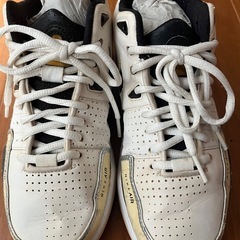★NIKEバッシュ★