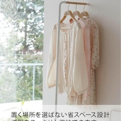 山崎実業 スリム コートハンガーの画像