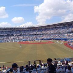 🐯2025 関東阪神タイガースファンfor everyone - メンバー募集