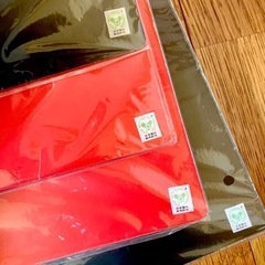 新品未使用❗️ディズニー　ファイル　B5　ミッキー　ドナルド　ピノキオ　ハードカバーの画像