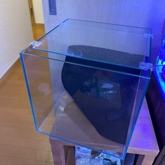 アクロ　30キューブ水槽