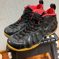 ナイキエアポジット