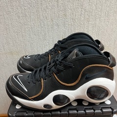 エアズームフライト95