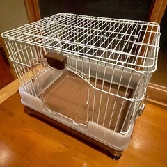 ケージ