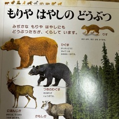 動物図鑑の画像