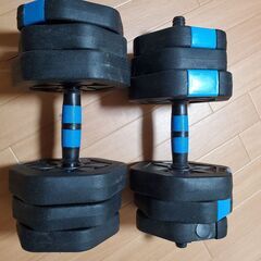 ダンベル　10kg x 2個