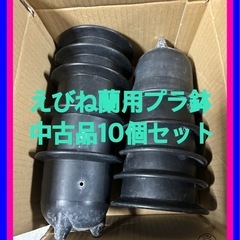 ☆中古品えびね蘭栽培用プラ鉢‼️10個セット軽い持ち運び便利円形...