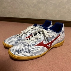 ミズノシューズ