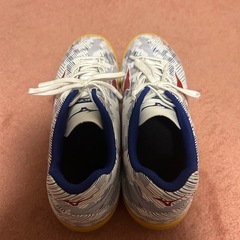 ミズノシューズの画像