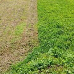 草刈りや家の中の片付け等やります。