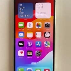 mago様仮専用　 iPhone 12／128GB／ミントグリーン／SIMフリー Apple iPhone 12 128GB SIMフリー [グリーン] 価格比較 - 価格.com