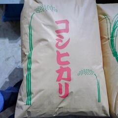 新米　広島県　世羅産 令和6年 コシヒカリ 玄米 30kg