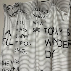 カーテン/モノトーンの画像