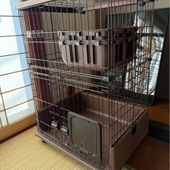 猫　ゲージ