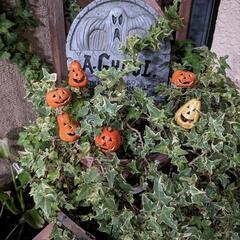 ハロウィン　墓石