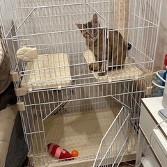 猫用ケージ二段の画像