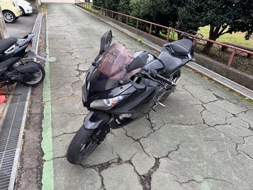 ニンジャ250 実働