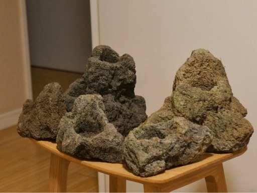 ADA 雲山石 大小5個セット