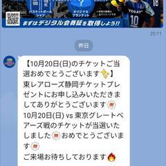 SVリーグ　東レvs東京グレートベアーズ戦チケット 