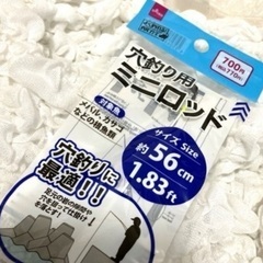 夏休み【新品未開封】ダイソー穴釣りロット５６㎝の画像