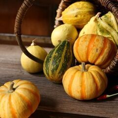 ハロウィン　フラワーアレンジメント　体験レッスン - 府中市