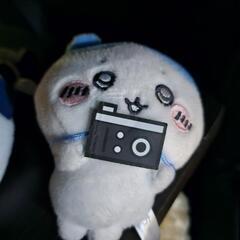 ぬいぐるみ6つセットの画像