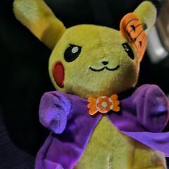 ぬいぐるみ6つセットの画像