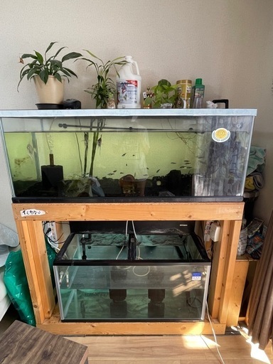 大型水槽 熱帯魚用 セット！