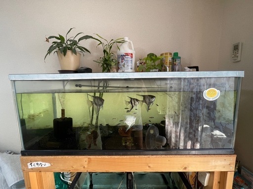 大型水槽 熱帯魚用 セット！ 大型水槽 熱帯魚用 セット！の通販はau PAY マーケット - 輸入雑貨の