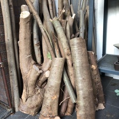 伐採した枝や幹、薪などにいかがですか？の画像