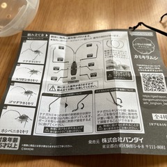 ガシャポンのカミキリムシの画像