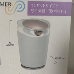 ミラー付き温冷スチーマー 360度角度選択可能 の画像