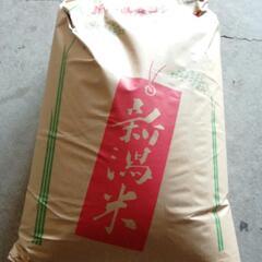 令和6年産コシヒカリ玄米30㎏