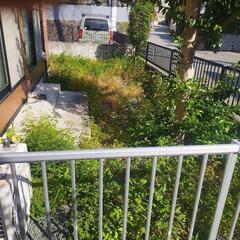 🌴草刈り、草取りやってます🌴 - 熊本市