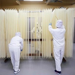 600年の伝統技法　素麺