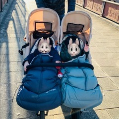 お譲り先決まりました→双子ベビーカー☆ココダブル☆フットマフなど...