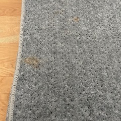 無料　ヤマゼン　ホットカーペットの画像