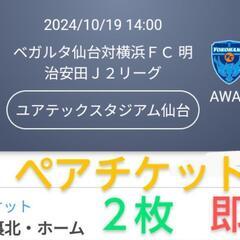 10/19 ベガルタ仙台 VS 横浜FC ゴール裏北・ホーム チ...