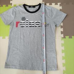 　Ｔシャツ2枚の画像