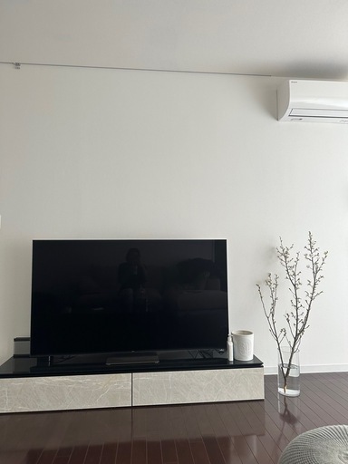 【65インチ】スマートTV