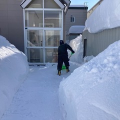 手作業除雪スタッフ募集中‼️① 【エントリー制】の画像
