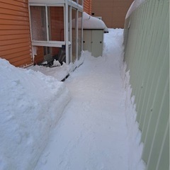 手作業除雪スタッフ募集中‼️① 【エントリー制】の画像